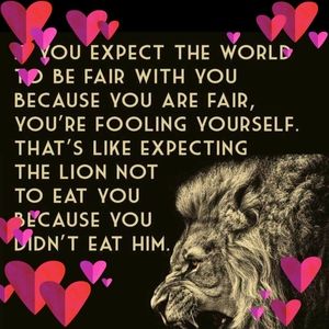 Meet your Posher, Frances